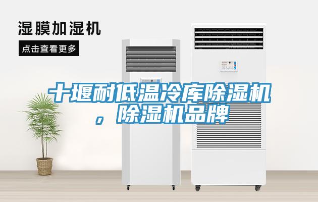 十堰耐低溫冷庫除濕機(jī)，除濕機(jī)品牌