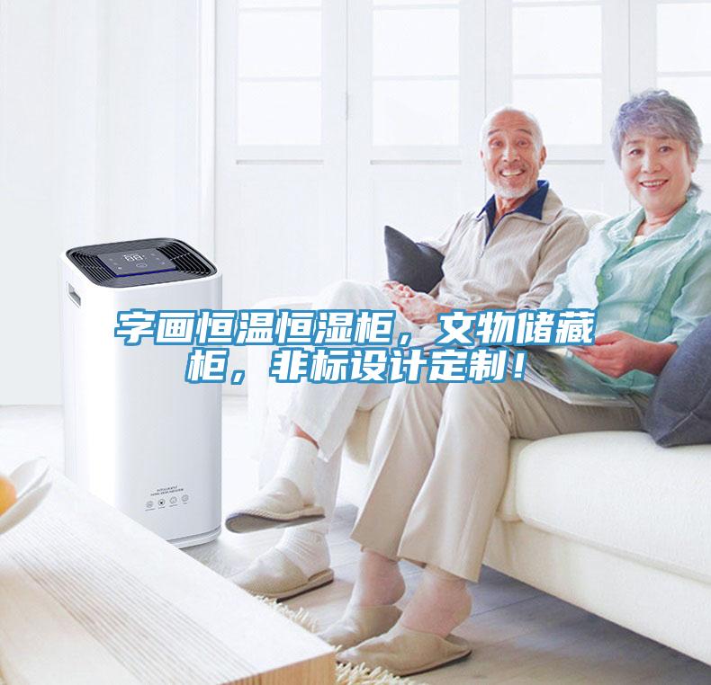 字畫(huà)恒溫恒濕柜，文物儲(chǔ)藏柜，非標(biāo)設(shè)計(jì)定制！