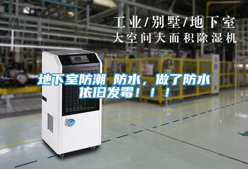 地下室防潮≠防水，做了防水依舊發(fā)霉?。?！