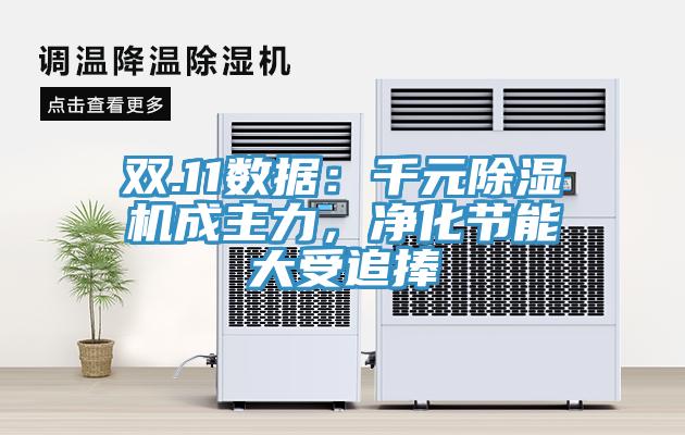 雙.11數(shù)據(jù)：千元除濕機(jī)成主力，凈化節(jié)能大受追捧