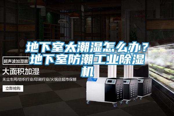 地下室太潮濕怎么辦？地下室防潮工業(yè)除濕機(jī)