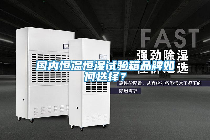 國(guó)內(nèi)恒溫恒濕試驗(yàn)箱品牌如何選擇？