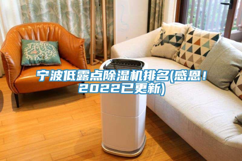 寧波低露點(diǎn)除濕機(jī)排名(感恩！2022已更新)