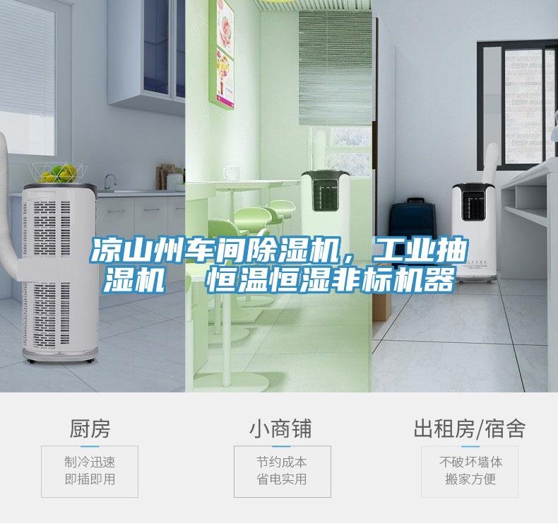 涼山州車間除濕機(jī)，工業(yè)抽濕機(jī)  恒溫恒濕非標(biāo)機(jī)器