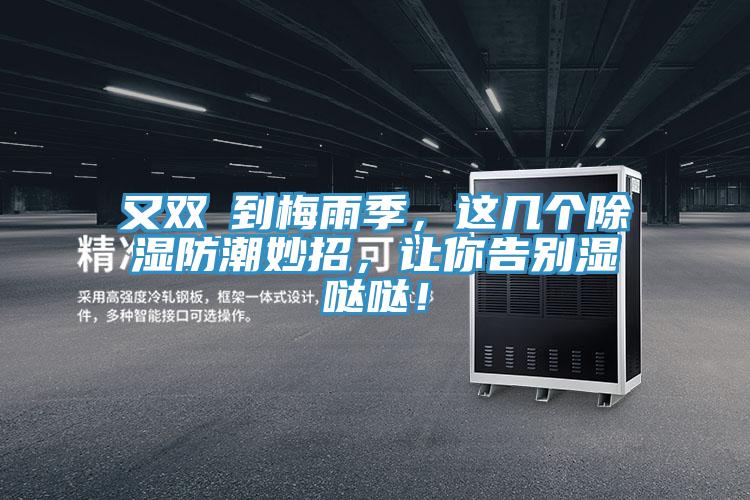 又雙叒到梅雨季，這幾個除濕防潮妙招，讓你告別濕噠噠！