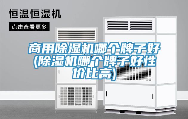 商用除濕機(jī)哪個(gè)牌子好(除濕機(jī)哪個(gè)牌子好性?xún)r(jià)比高)
