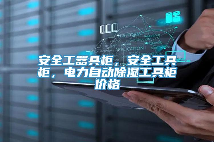 安全工器具柜，安全工具柜，電力自動(dòng)除濕工具柜價(jià)格
