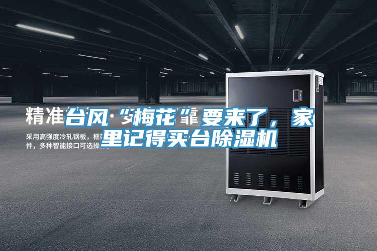臺風(fēng)“梅花”要來了，家里記得買臺除濕機(jī)