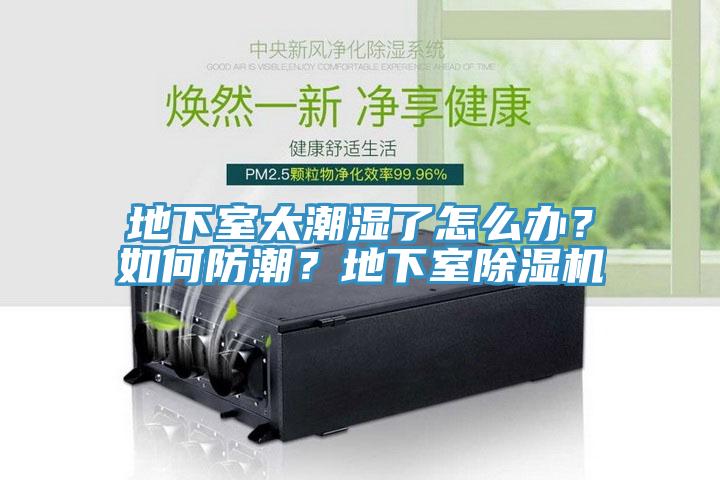 地下室太潮濕了怎么辦？如何防潮？地下室除濕機(jī)