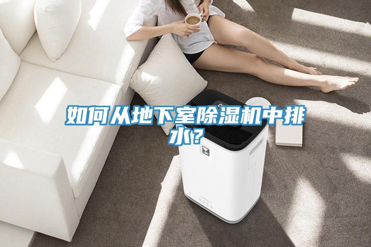 如何從地下室除濕機(jī)中排水？