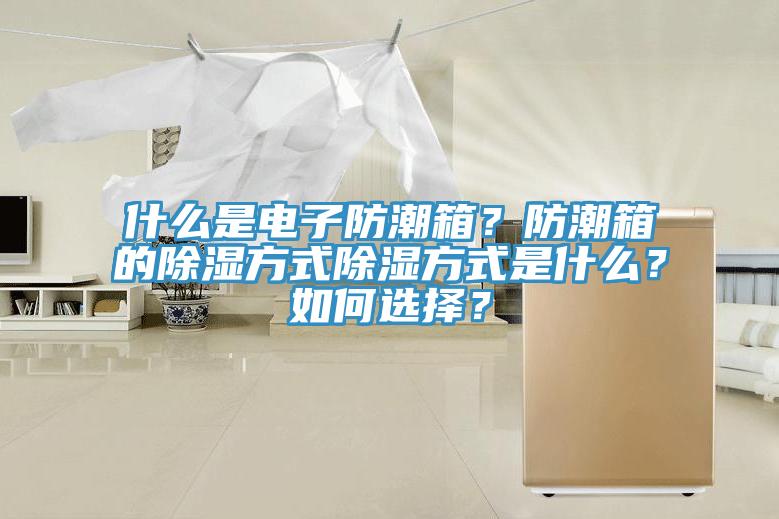 什么是電子防潮箱？防潮箱的除濕方式除濕方式是什么？如何選擇？