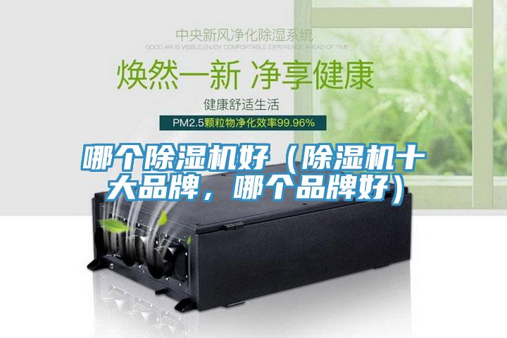 哪個除濕機好（除濕機十大品牌，哪個品牌好）