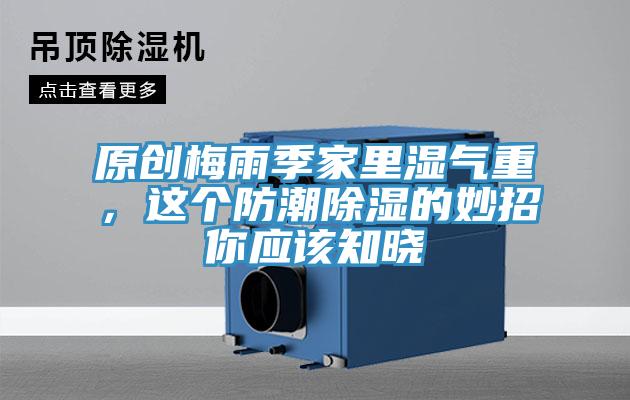 原創(chuàng)梅雨季家里濕氣重，這個防潮除濕的妙招你應該知曉