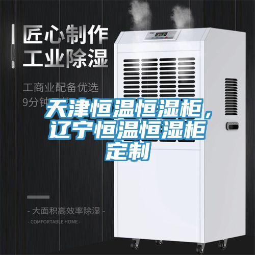 天津恒溫恒濕柜，遼寧恒溫恒濕柜定制