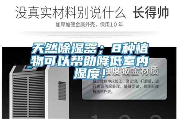 天然除濕器；8種植物可以幫助降低室內(nèi)濕度！