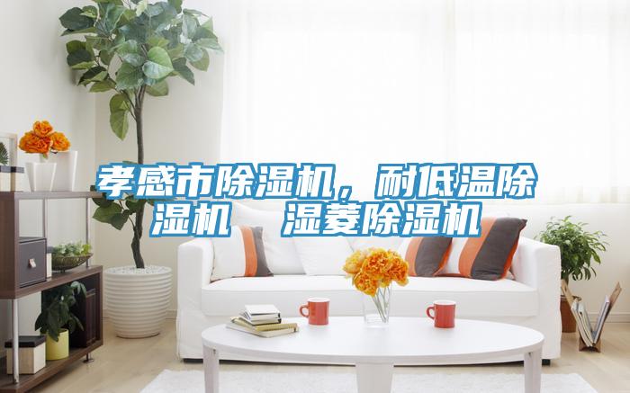 孝感市除濕機(jī)，耐低溫除濕機(jī)  濕菱除濕機(jī)