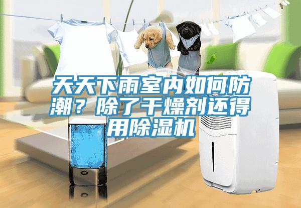 天天下雨室內(nèi)如何防潮？除了干燥劑還得用除濕機(jī)