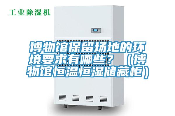 博物館保留場地的環(huán)境要求有哪些？（博物館恒溫恒濕儲藏柜）