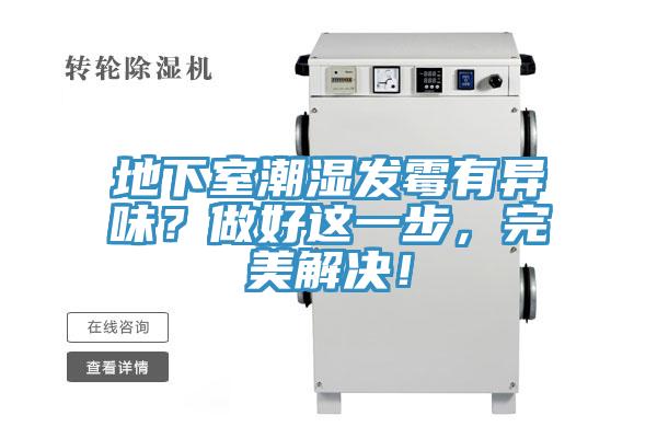 地下室潮濕發(fā)霉有異味？做好這一步，完美解決！