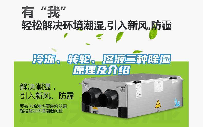 冷凍、轉(zhuǎn)輪、溶液三種除濕原理及介紹