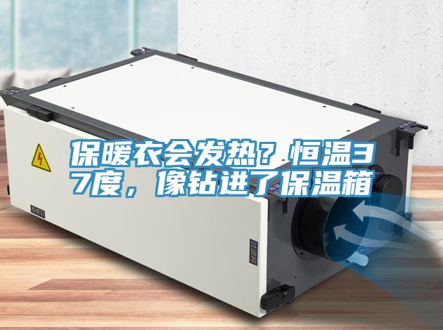 保暖衣會(huì)發(fā)熱？恒溫37度，像鉆進(jìn)了保溫箱