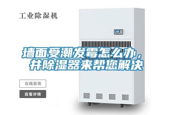 墻面受潮發(fā)霉怎么辦，東井除濕器來幫您解決