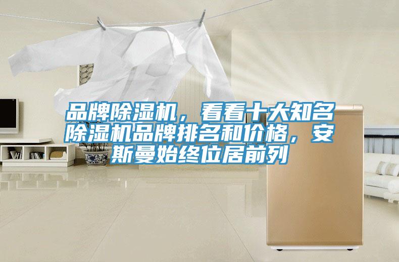 品牌除濕機，看看十大知名除濕機品牌排名和價格，安斯曼始終位居前列