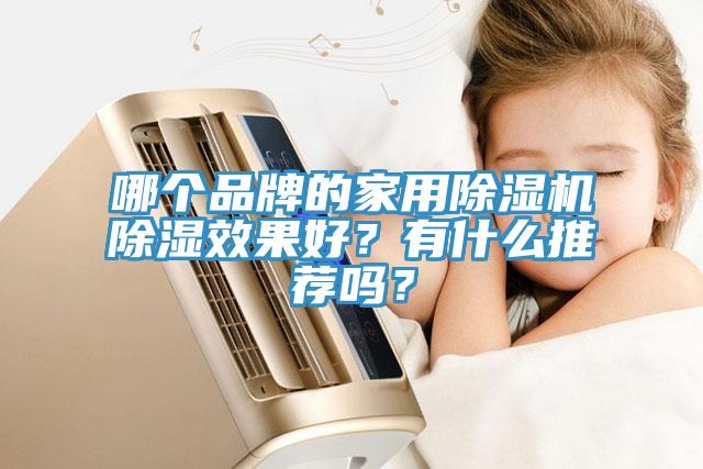 哪個品牌的家用除濕機除濕效果好？有什么推薦嗎？