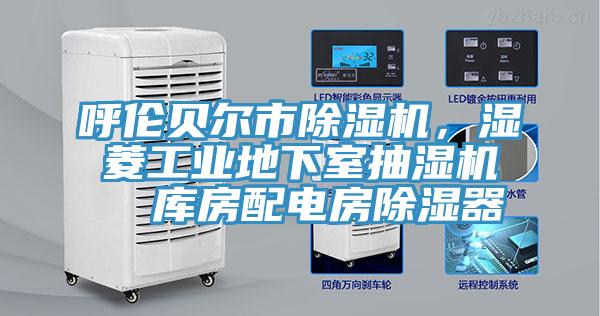 呼倫貝爾市除濕機(jī)，濕菱工業(yè)地下室抽濕機(jī)  庫(kù)房配電房除濕器