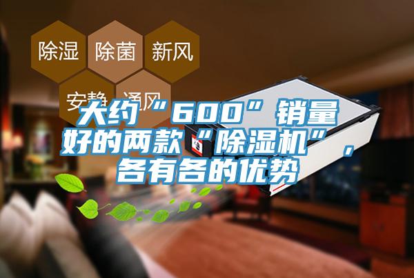 大約“600”銷量好的兩款“除濕機(jī)”，各有各的優(yōu)勢(shì)