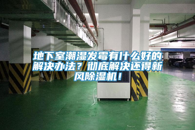 地下室潮濕發(fā)霉有什么好的解決辦法？徹底解決還得新風(fēng)除濕機！
