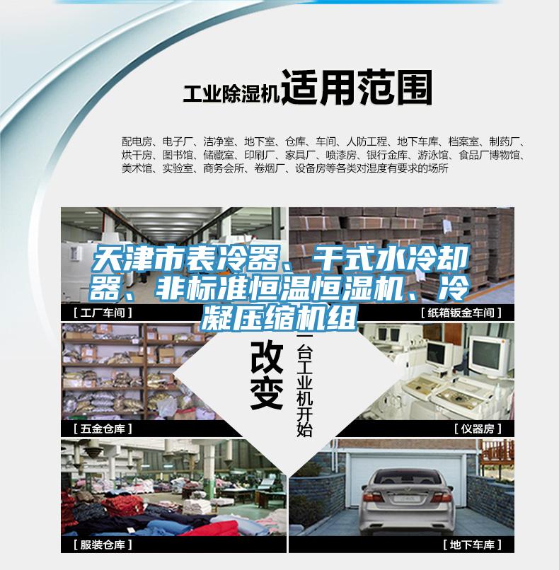 天津市表冷器、干式水冷卻器、非標(biāo)準(zhǔn)恒溫恒濕機(jī)、冷凝壓縮機(jī)組