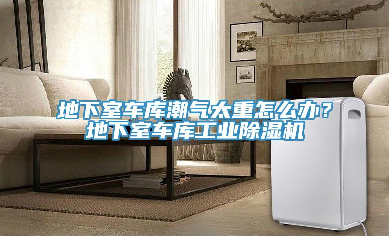 地下室車庫潮氣太重怎么辦？地下室車庫工業(yè)除濕機