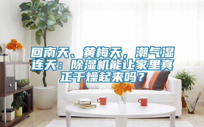 回南天、黃梅天，潮氣濕連天：除濕機(jī)能讓家里真正干燥起來(lái)嗎？