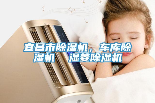 宜昌市除濕機(jī)，車庫(kù)除濕機(jī)  濕菱除濕機(jī)