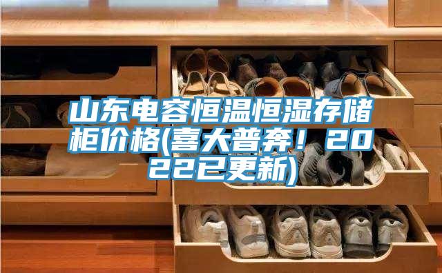 山東電容恒溫恒濕存儲(chǔ)柜價(jià)格(喜大普奔！2022已更新)