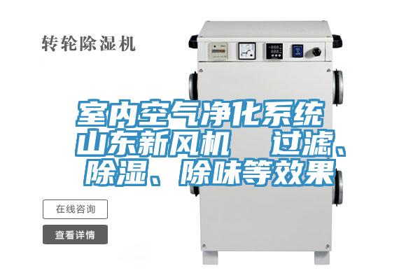 室內(nèi)空氣凈化系統(tǒng) 山東新風(fēng)機(jī)  過濾、除濕、除味等效果