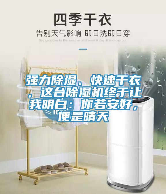 強(qiáng)力除濕、快速干衣，這臺(tái)除濕機(jī)終于讓我明白：你若安好，便是晴天