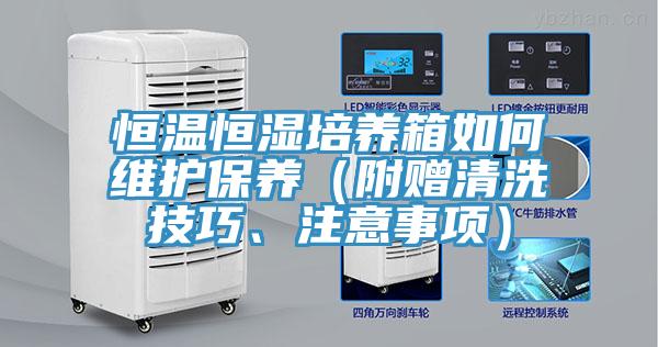 恒溫恒濕培養(yǎng)箱如何維護(hù)保養(yǎng)（附贈(zèng)清洗技巧、注意事項(xiàng)）