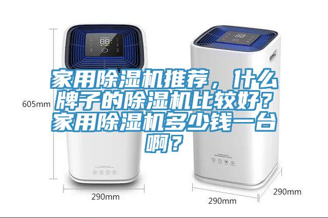 家用除濕機推薦，什么牌子的除濕機比較好？家用除濕機多少錢一臺??？