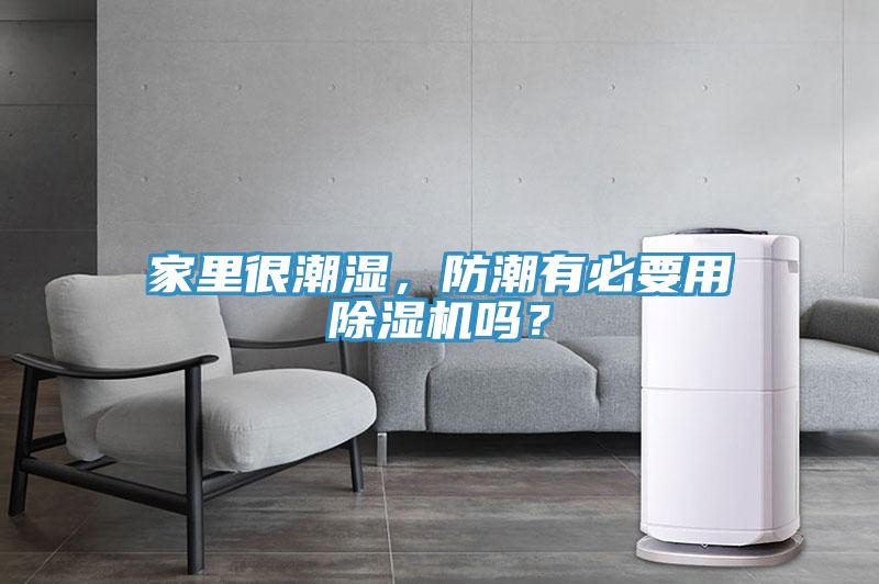 家里很潮濕，防潮有必要用除濕機嗎？