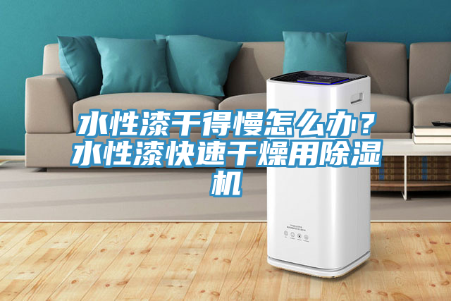 水性漆干得慢怎么辦？水性漆快速干燥用除濕機(jī)