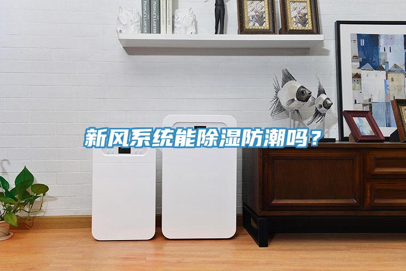 新風(fēng)系統(tǒng)能除濕防潮嗎？