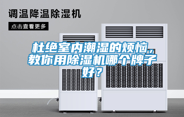 杜絕室內(nèi)潮濕的煩惱，教你用除濕機(jī)哪個(gè)牌子好？
