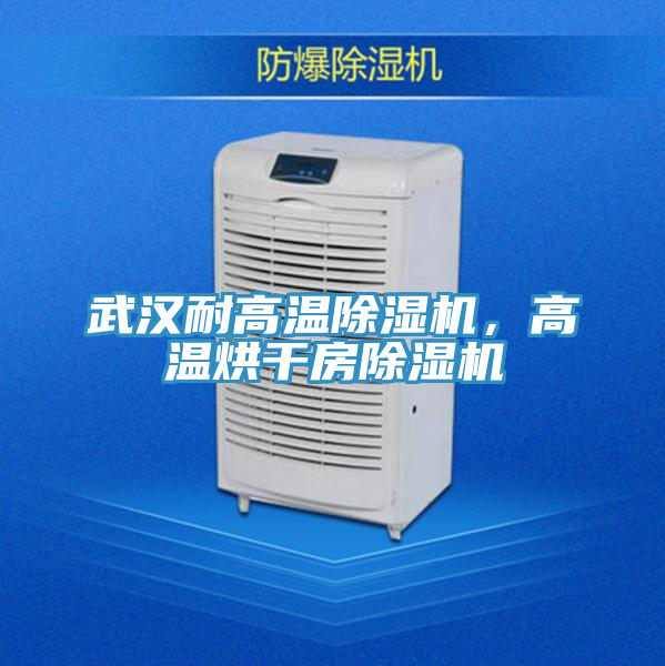 武漢耐高溫除濕機，高溫烘干房除濕機