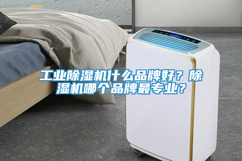 工業(yè)除濕機(jī)什么品牌好？除濕機(jī)哪個(gè)品牌最專業(yè)？
