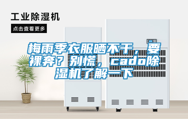 梅雨季衣服曬不干，要裸奔？別慌，cado除濕機了解一下