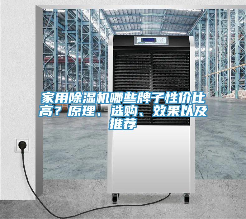 家用除濕機(jī)哪些牌子性?xún)r(jià)比高？原理、選購(gòu)、效果以及推薦