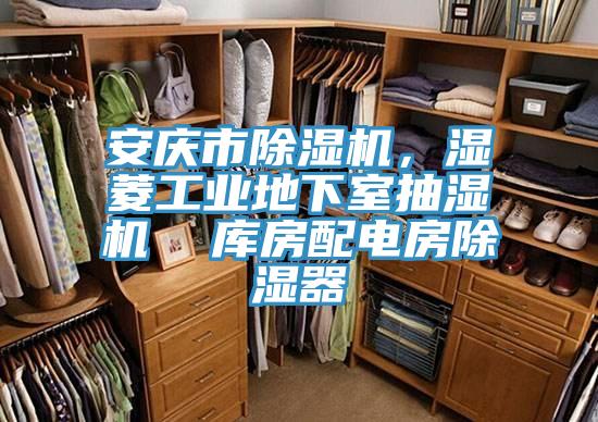 安慶市除濕機，濕菱工業(yè)地下室抽濕機  庫房配電房除濕器