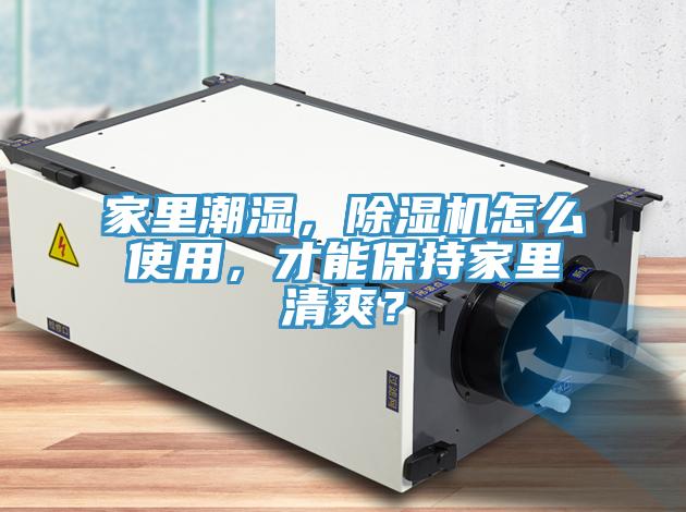 家里潮濕，除濕機怎么使用，才能保持家里清爽？